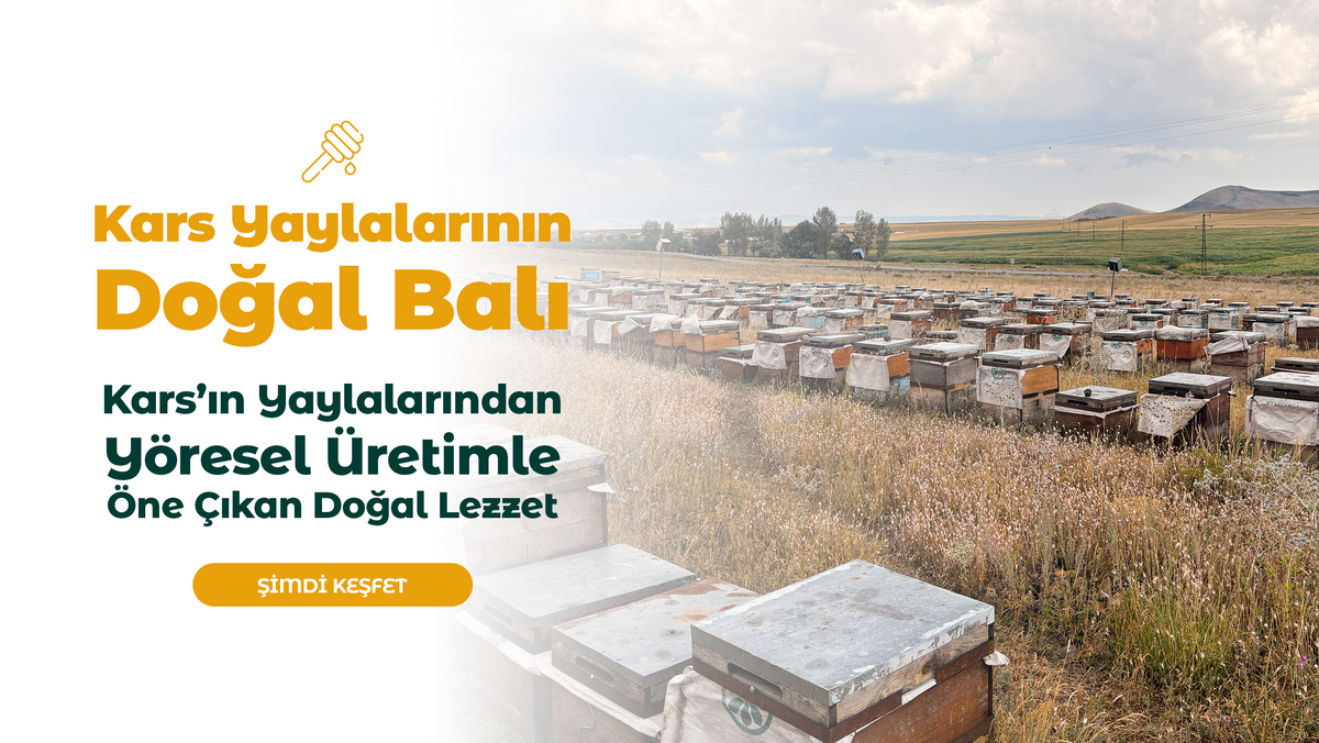 Ebru Yöresel Kars